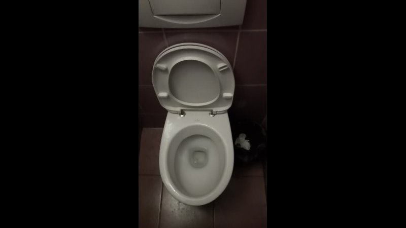 porn женщина держит мужчину глупая за горло умная за член мудрая за руку а гениальная вообще недержит надпись в porn