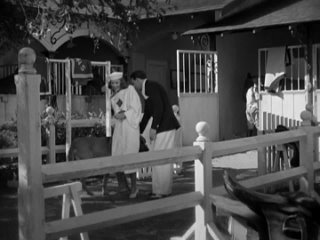 porn разрисованная вуаль 1934 драма мелодрама экранизация ричард болеславски 1080p porn