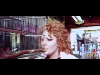 porn семь шалей из желтого шелка 1972 джалло триллер детектив серджо пасторе 1080p porn