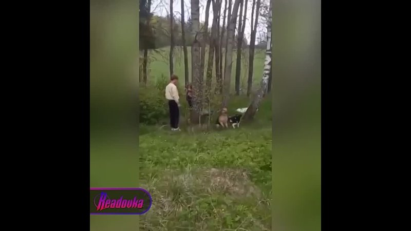 porn в беларуси женщина с парнем на трассе привязали молодые к деревьям и оставили их умирать porn