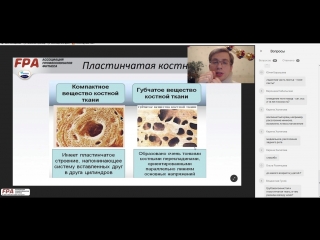 porn анатомия опорно двигательного аппарата меркурьев porn