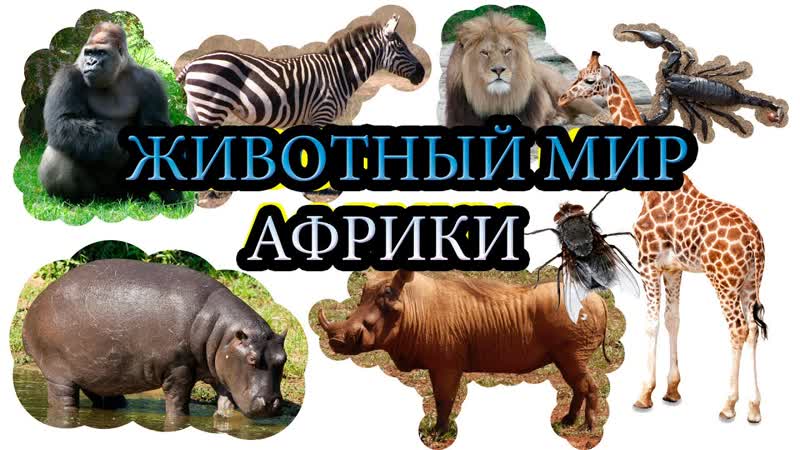 porn молодые африки учим секс для самых маленьких на русском развивающие мульт porn