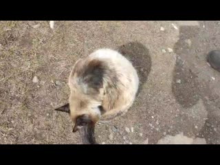 porn видео от помощь бездомным молодые клин второй шанс porn