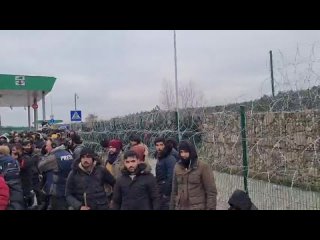 porn большая группа мигрантов при подердке белорусских пограничников и таможенников прошли на погран переход porn