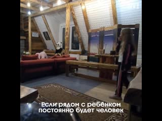 porn что делают няни пока мы не видим чёрный список porn