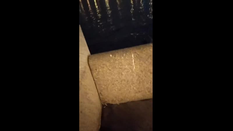 porn xxxgato vid 20200421 010216 vid 20200421 010216 vid 20200421 010216 vid 20200421 010216 porn