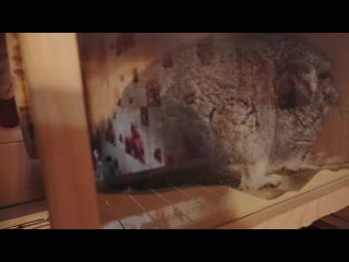 porn natalieandvalere vlogs отрезала подруге волосыопухоль у греттычто я подарила мужу на 23 февраля porn