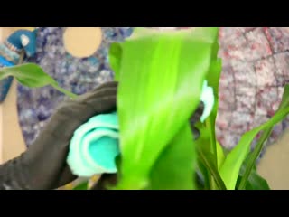 porn откажись от бытовой химии это возможно mp4 porn