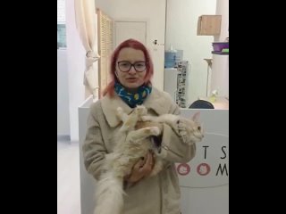 porn соня молодая но бойкая малышка которая серьезно относится к своим кошачьим границам porn