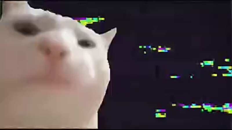 porn cat just started watching this and i never skip this cool intro to bad it got cancelled inside job porn
