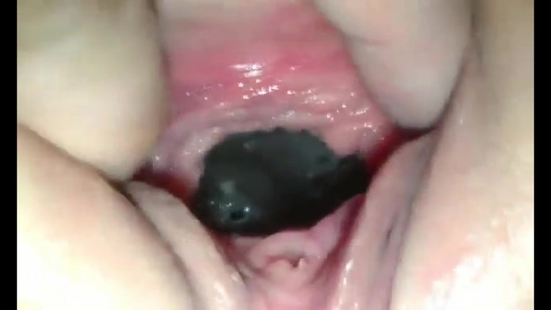 porn моя великолепная дыроч порно xxx porno sex порно секс эротика девушки грудь женщины сучки шлюхи сиськи анал минет porn