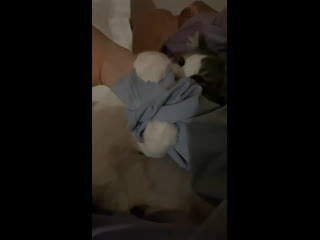 porn dahl code kunst instastory 04112020 porn