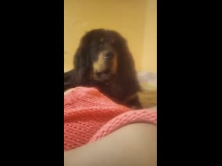 porn lede storageemulated0dcimcameravid 20200130 145737 mp4 porn