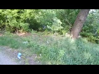 porn коллекция палева порно инцест домашнее спалились завет подсмотрено треш русское прон трах анал минет зрелая porn