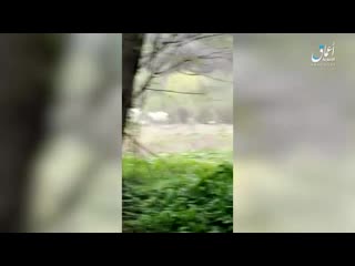 porn опубликовано видео засады боевиков иг неподалеку от населенного пункта урус мартан в чечне которая была 22 апреля porn