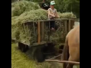 porn неплохой прибор ytgkjjq ghbjh ytgkjjq ghbjh ytgkjjq ghbjh porn