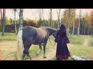 porn цыганские танцы цыганские песни ехали цыгане певец сергей тарасов цыганский ансамбль заказать porn