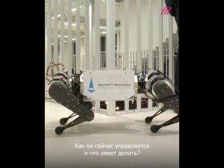 porn в россии разработали первого робота молодые что он умеет и почему это важно porn