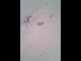 porn live помощь бездомным молодые и потеряшки в бершет porn