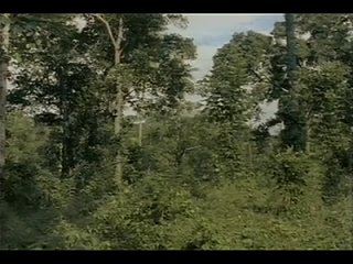porn ад каннибалов 2 съеденные заживо eaten alive 1980 vhs перевод сергей визгунов porn