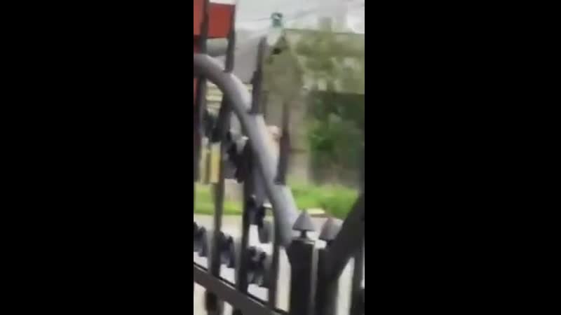 porn в салехарде пара занялась сексом возле памятника porn