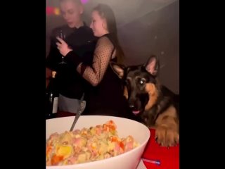 porn наглый пёс решил воспользоваться моментом porn