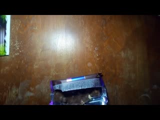 porn обзор молочной шоколадки миллениум с цельным орехами сушоной клюквой и изюмом porn
