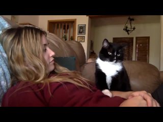 porn очень воспитанный любитель ласки porn