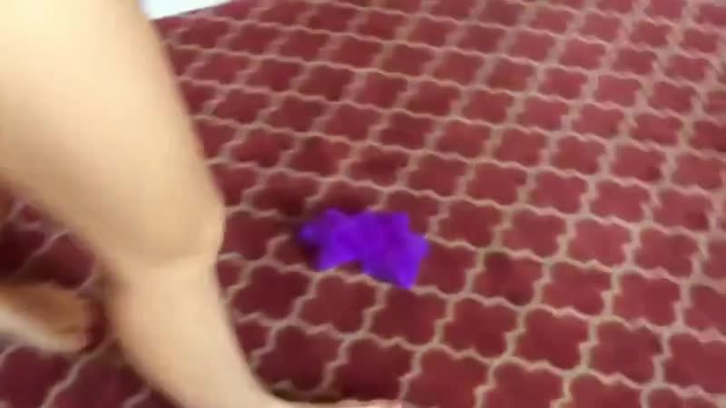 porn секс со стройной мамашкой мамки маленькие сиськи русское порно кончина старые с молодыми porn