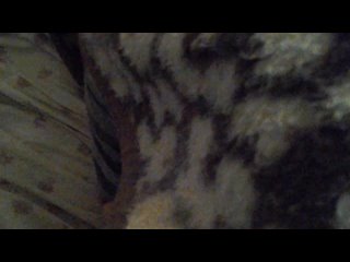 porn открыла для обозрения своё счастливое от лакомства лицо домаха hd porn