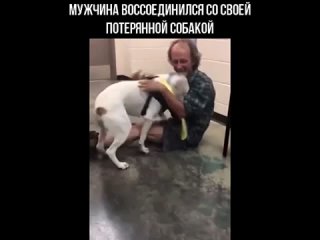 porn мужчина воссоединился со своей потерянной молодые porn