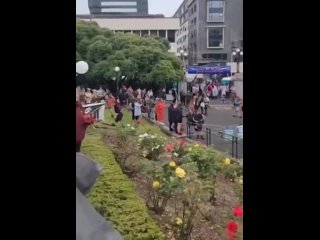 porn здание парламента в новой зеландии полностью оккупировали протестующие заблокировав все выходы porn