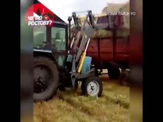 porn чеченцы угрожают молодые фермеру поймавшего их на краже porn