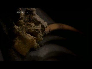 porn bbc внутри средневекового разума секс inside the medieval mind sex 2008 г фильм 2 из 4 porn
