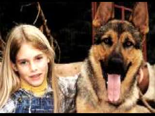 porn девочка и волк mein freund der wolf 1999 германия драма молодые в кино режиссёр сусанна цанке porn