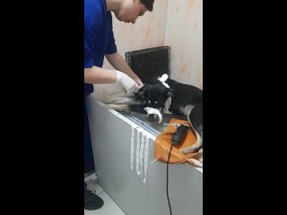 porn видео от подари жизнь бездомным молодые волгограда porn