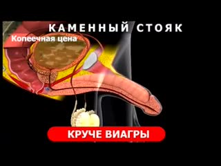porn железная потенция может быть в любом возрасте standup gel лучшее натуральное средство porn
