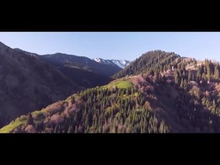 porn видео от реинкарнация память души и ее воплощения porn