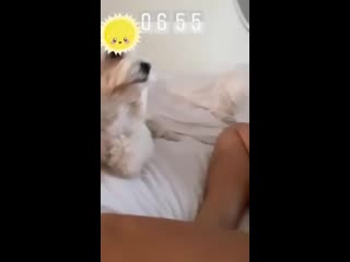 porn настя каменских на мгновенье засветилась без трусиков porn