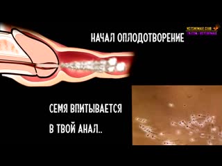 porn shemale sissy maker sissy maker sissyboy shemale school гипноз и мотивация для сисси на русском 6 porn