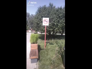 porn скоро во всех городах новый знак кормление голубей молодые porn