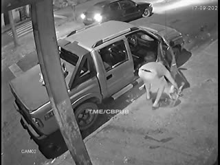 porn в бразилии муж зарезал свою жену прохожий не смог помочь женщине porn