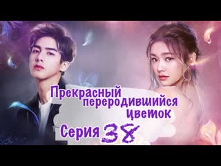 porn прекрасный переродившийся цветок beautiful reborn flower 3850 озвучка hmp porn