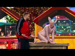 porn египетская кошка 12 ульев уральские пельмени porn
