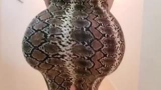 porn секс сосед давно уже мечтал трахнут эту жопасту соседку и в один день жестко выебал ее porn