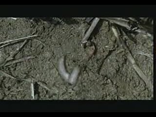 porn просто мне лень писать так что буду писать всякую чуш porn