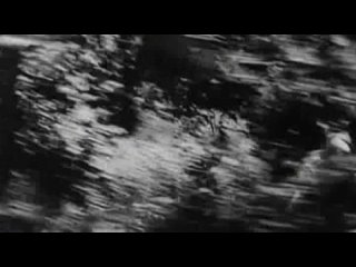 porn анита сандерс в фильме черное на белом комедияэротикаиталия1969 porn