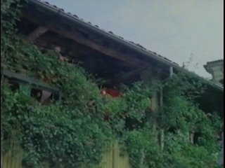 porn эдвиж фенек в фильме жена девственница комедияэротикаиталия1975 porn