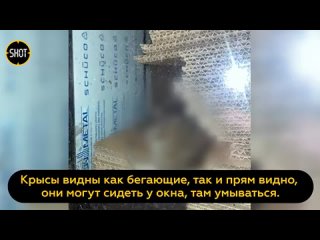porn территория московского элитного жк премиум класса сохо нохо porn