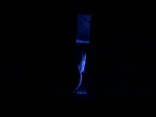 porn сексвайф изменяет на коленях в то время как муж рогоносец прячется и снимает все на видео минет измена куколд секс porn